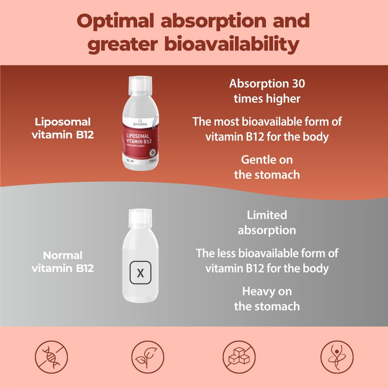 Bandini® Liposomal Vitamin B12 Liquid | 1000 mcg per Serving (5ml) | Pure Methylcobalamin Supplement | High Strength, High Bioavailability & Absorption | Tiredness, Fatigue, Immunity Support | Vegan