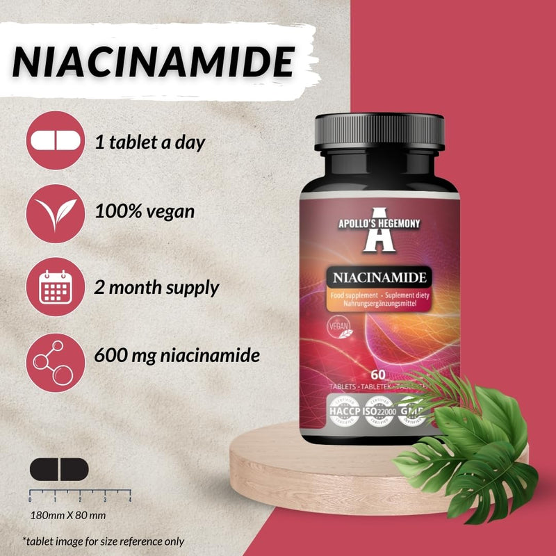 Niacinamide 500 mg per Tablet - 60 Vegan Tablets - 2 Month Supply - Supports Energy and Nerve Function - Vitamin B3 Diet Supplement - by Apollo's Hegemony