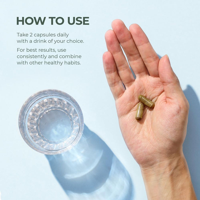 [Australia] - Primal Harvest Vision and Eye Support Complex with Lutein, Zeaxanthin Plus Vitamin E, Bilberry Extract, and Blueberry Extract for Overall Eye Health for Men and Women, 60 Capsules 