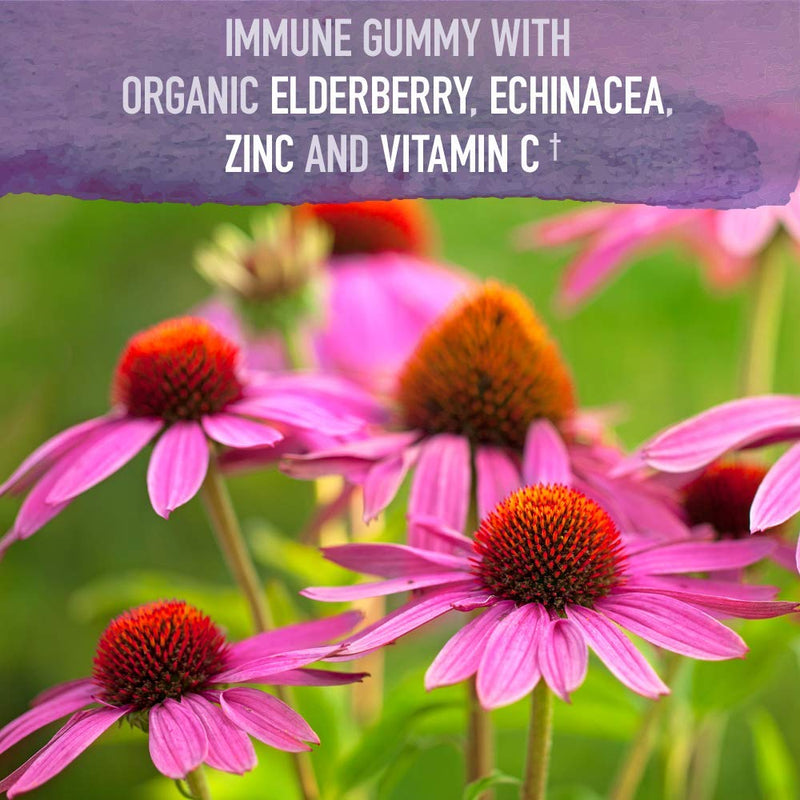 Garden of Life Organics Elderberry Gummies for Adults & Kids - Immune Support Supplement with Organic Fruit, Herbal Blend, Elderberry, Echinacea, Zinc, Vitamin C, 120 Vegan Gluten Free Gummies 120 Count (Pack of 1)