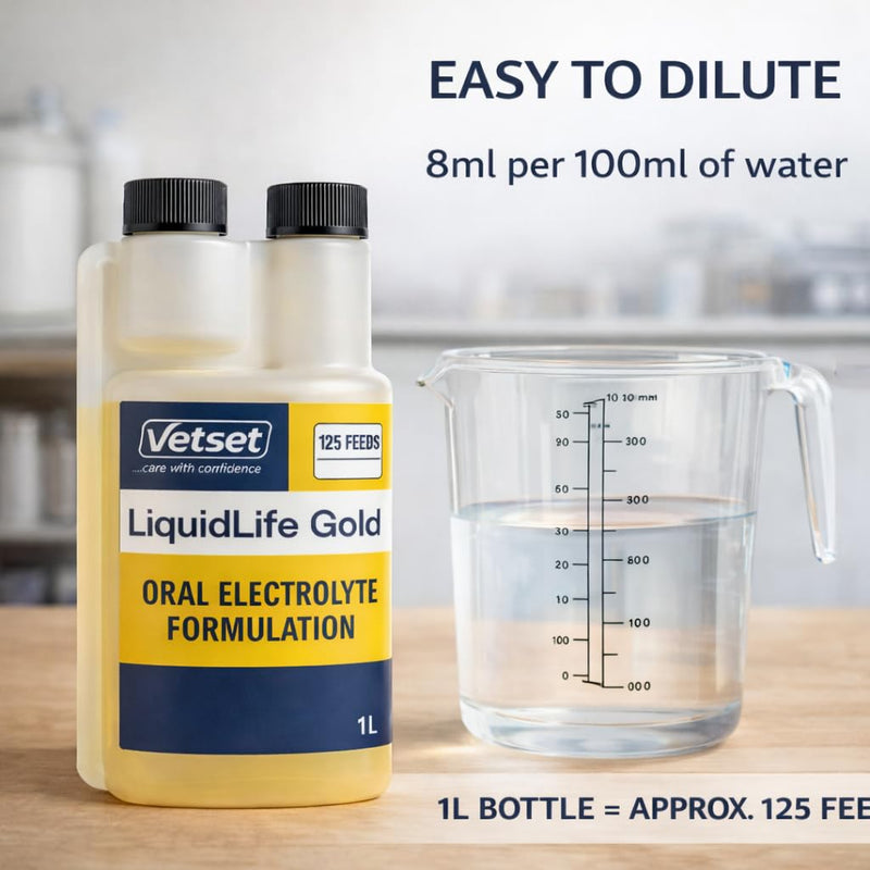LiquidLife Gold |Foal & Calves Electrolyte Solution |Oral Rehydration & Energy Supplement for Calves, Lambs & Pigs |Restores Fluids, Salts & Vitality After Dehydration, Scours or Stress 1 Litre