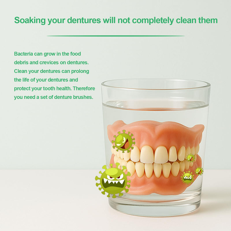 [Australia] - Denture Brush 6Pcs Denture Toothbrushes,Denture Cleaning Care Cleaning Brush,Double Sided Toothbrush for Denture Cleaning Care 6 COUNT 