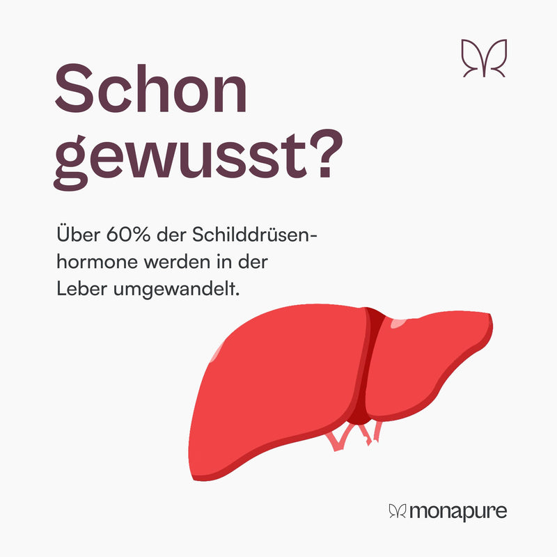 [Australia] - monapure the converter thyroid & liver complex with milk thistle, artichoke, choline, glutathione, selenium, NAC + other amino acids - 60 capsules high dose & vegan 42.35 g (pack of 1) 
