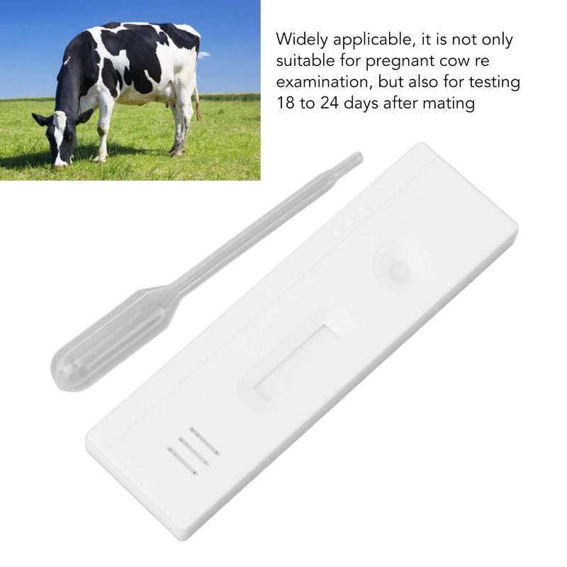 Fdit Cow Pregnancy Test Strips High Accuracy Quick Detection Early Pregnancy Diagnosis Tool
