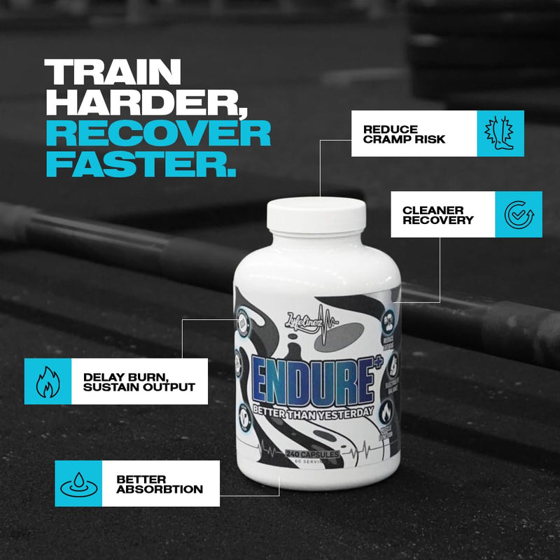Endure+ Multi-Pathway Lactic Acid Buffer & Electrolyte Complex for Hybrid Athletes | Aquamin® Marine Minerals, Magnesium, B12 & Ginger | Muscle Function, Hydration, Fatigue Resistance | 240 Capsules