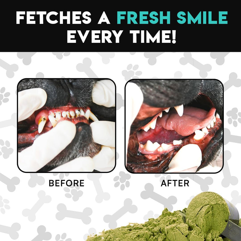 French Bulldog Optimized Dog Teeth Cleaning Powder Plaque Remover & Tartar Control - Dog Breath Freshener Strong Teeth & Gums - Dog Dental Powder Easy Teeth Cleaning - Herbal Blend - USA (60 Scoops) - PawsPlanet Australia