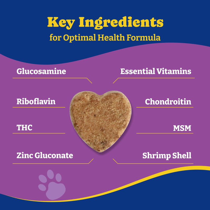 Dog Probiotics for Gut, Immune & Skin Health + Dog Joint Supplement for Anti-Inflammatory, Support Hip & Joint Health, Mobility - 180 Soft Chews - PawsPlanet Australia