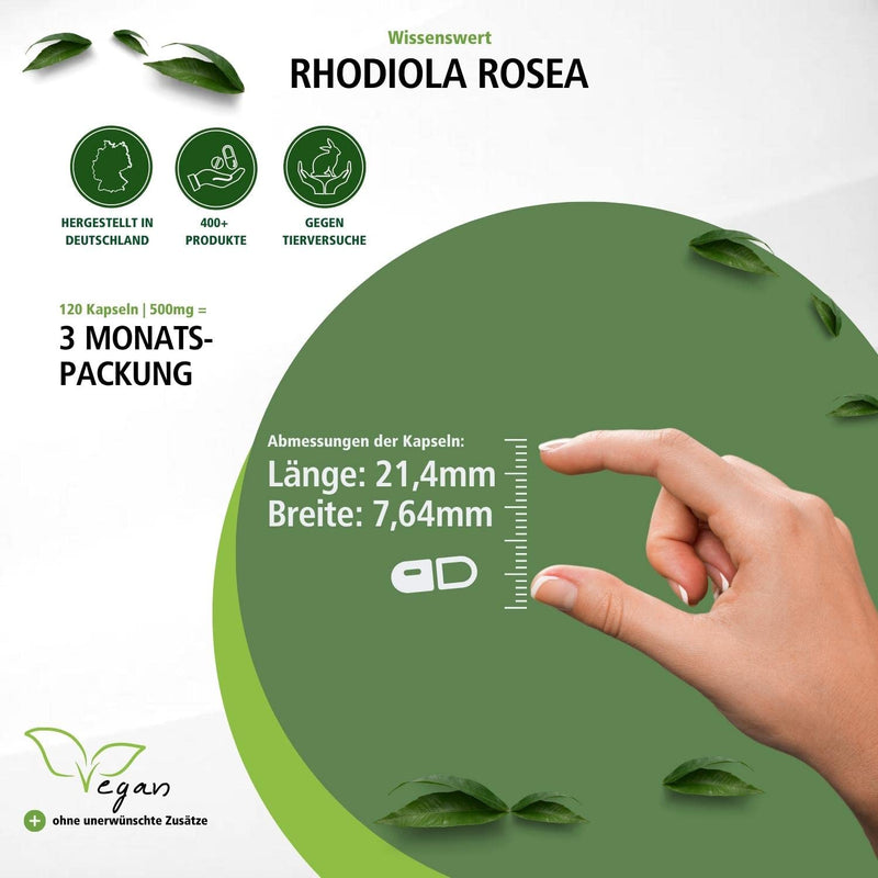 [Australia] - Fairvital | Rhodiola Rosea Capsules 500mg - 120 Capsules - Roseroot Root Extract - HIGH DOSE - Vegan - 3% Rosavin (15mg) / 1% Salidroside (5mg) 