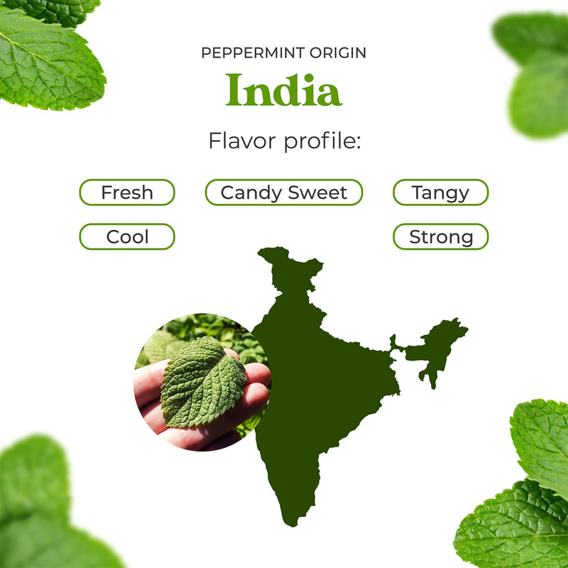 [Australia] - Sun Essential Oils - Peppermint 4oz Bottle for Diffuser, Humidifier, Aromatherapy, Personal & Home Care - Therapeutic Grade Peppermint Essential Oil - Peppermint Fragrance Oil for Candle Making 4 Fl Oz (Pack of 1) 