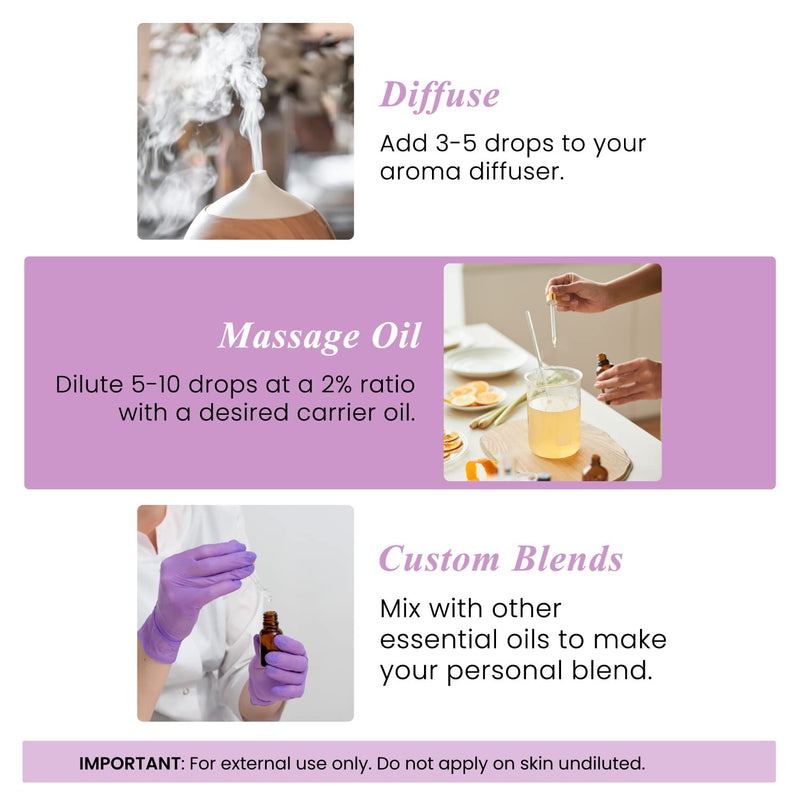 [Australia] - Handcraft Blends Lavender Essential Oil - Huge 4 Fl Oz - 100% Pure and Natural - Premium Grade with Glass Dropper 4 Fl Oz (Pack of 1) 