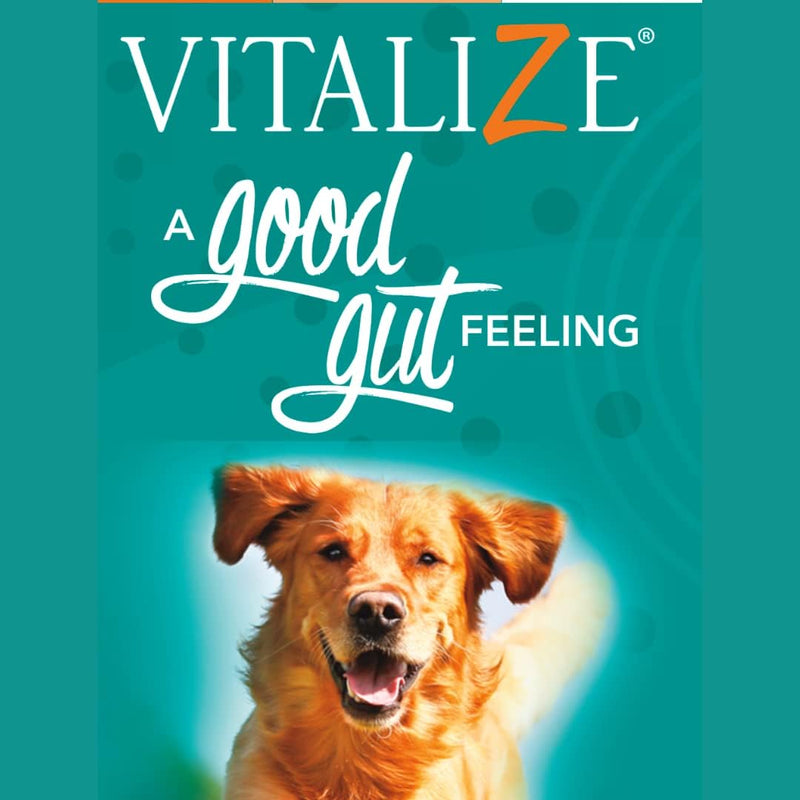 Vitalize Dog Gel - After Surgery Recovery & Probiotics Alternative Immune Support Booster Supplement for Dogs Digestive & Gut Health - Liquid Gel Paste (15 ml) - PawsPlanet Australia