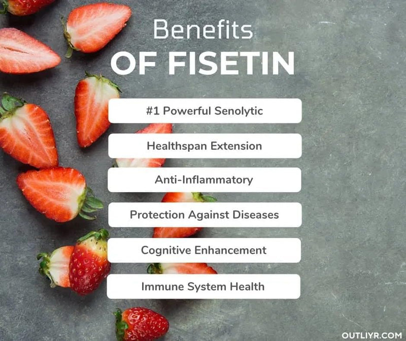 VITA PHARMA Fisetin 500mg 120 Capsules, Cellular Health & Longevity, Antioxidant Protection, Healthy Aging & Vitality, Overall Wellness & Balance
