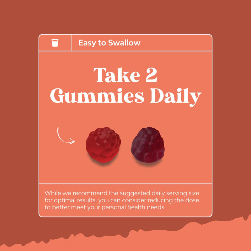 [Australia] - Sugar Free Fiber Gummies for Adults - High Fiber Supplement Gummies Vitamins for Adults with Prebiotic Soluble Chicory Root for Immunity and Digestive Support - Non GMO Halal Vegan Kosher Gluten Free 
