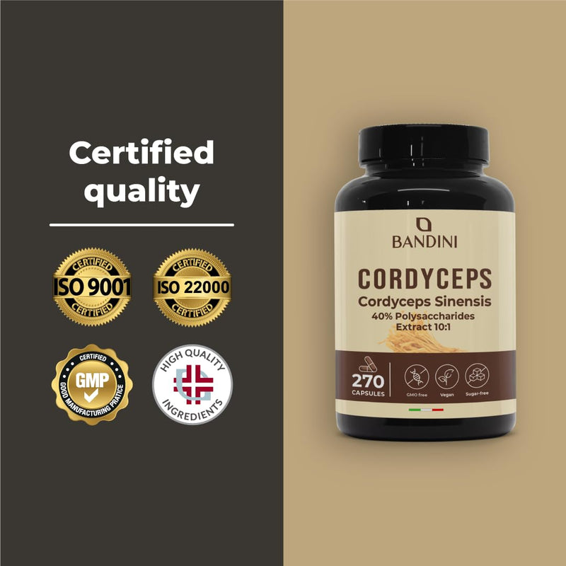 Bandini® Cordyceps Sinensis 19.500 mg | 270 High-Strength Vegan Capsules | Mushroom CS-4 Extract 10:1 with 40% Bioactive Polysaccharides | Energy, Performance, General Well-Being Support | Non-GMO