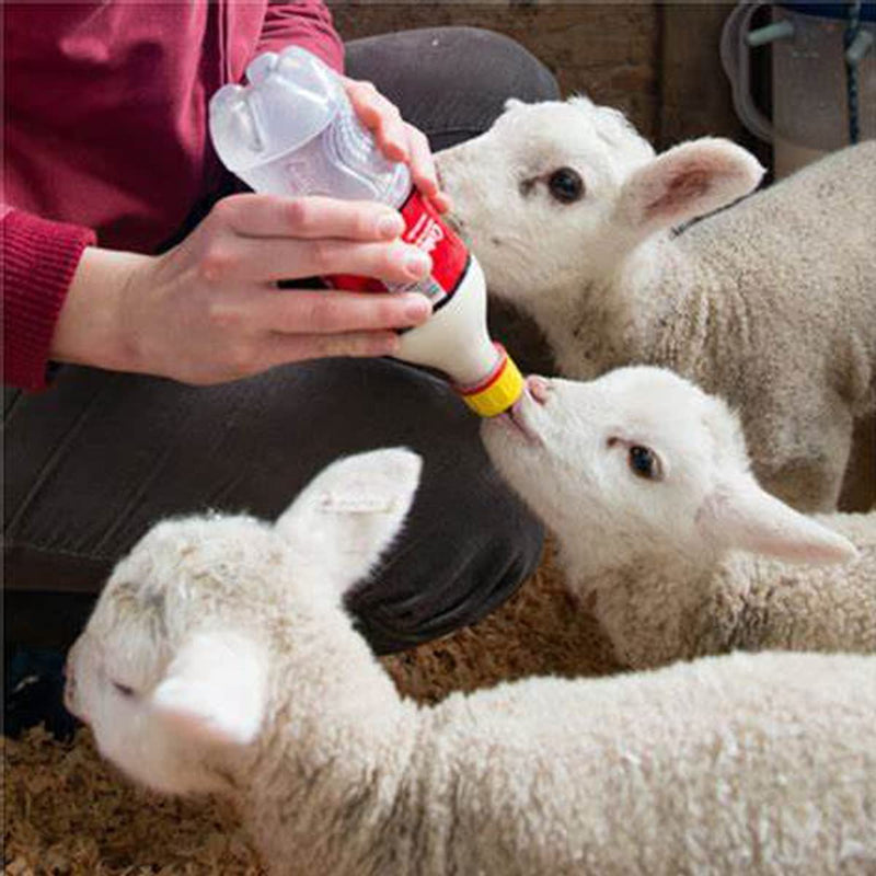 [Australia] - Small Animal Milk Drink Nipples with Flutter Valves Soft Rubber Cow Calf Milk Drinking Nipple for Goats Lambs Sheep Piglet Screw On Soda Bottle,15Pieces 15Pieces goat bottles nipples 