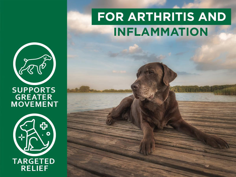 New Zealand - Green Lipped Mussel for Dogs - 1325mg 90 Caps - Hip & Joint Supplement for Dogs & Arthritis Relief for Dogs - GMO & Gluten Free - PawsPlanet Australia