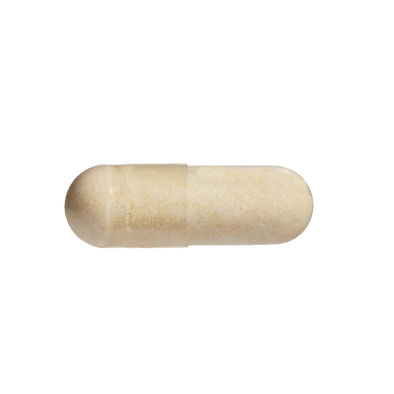 [Australia] - Natural Factors, SelenoExcell Selenium 200mcg, Antioxidant & Immune Support, 90 Capsules Standard Packaging 
