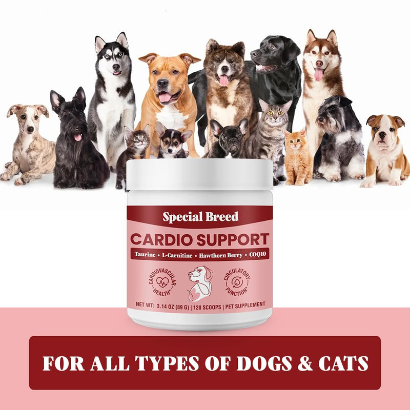 Special Breed Cardio Support for Dogs - Heart Health Support with Taurine, CoQ10, Organic Hawthorne Berry, Powder Supplement, 120 Scoops, 3.14 oz - PawsPlanet Australia