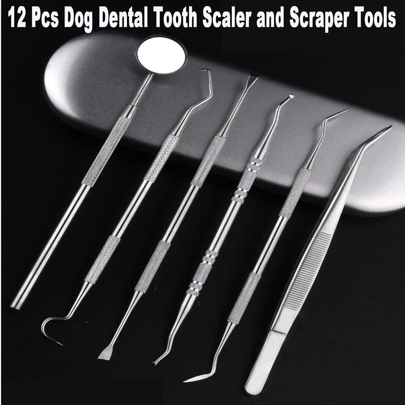 Teeth Cleaning Kit Dog Plaque Tartar Remover Tools Pet Dental Tooth Scaler and Scraper Silicone Finger Toothbrush for Puppy Cats Tooth Pick Stone Remover Dogs Oral Care Hygiene Cleaning Tools (12Pcs) 12 Count (Pack of 1) - PawsPlanet Australia