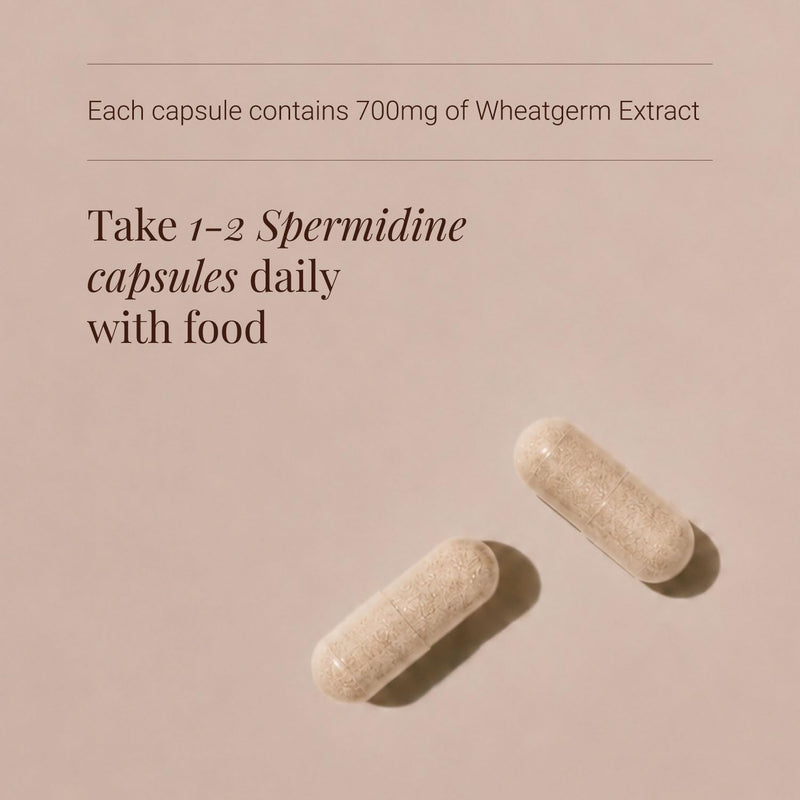 KIKI Health - Spermidine, Wheatgerm Extract - Highly Bioactive Spermidine - Supports Cellular Functions and Vital Processes - Perfect for Intermittent Fasting - 60 Vegicaps