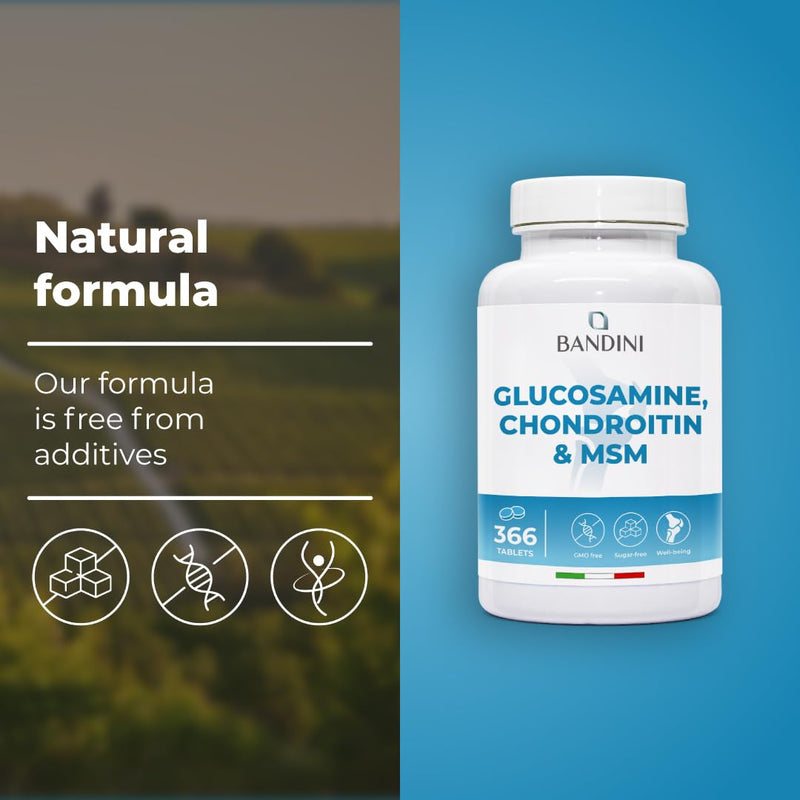 Bandini® Glucosamine Chondroitin + MSM & Vitamin C | 366 Tablets for 6 Months | Complex Formula with 600mg Glucosamine, 100mg Chondroitin & MSM per Daily dose | High Dosage