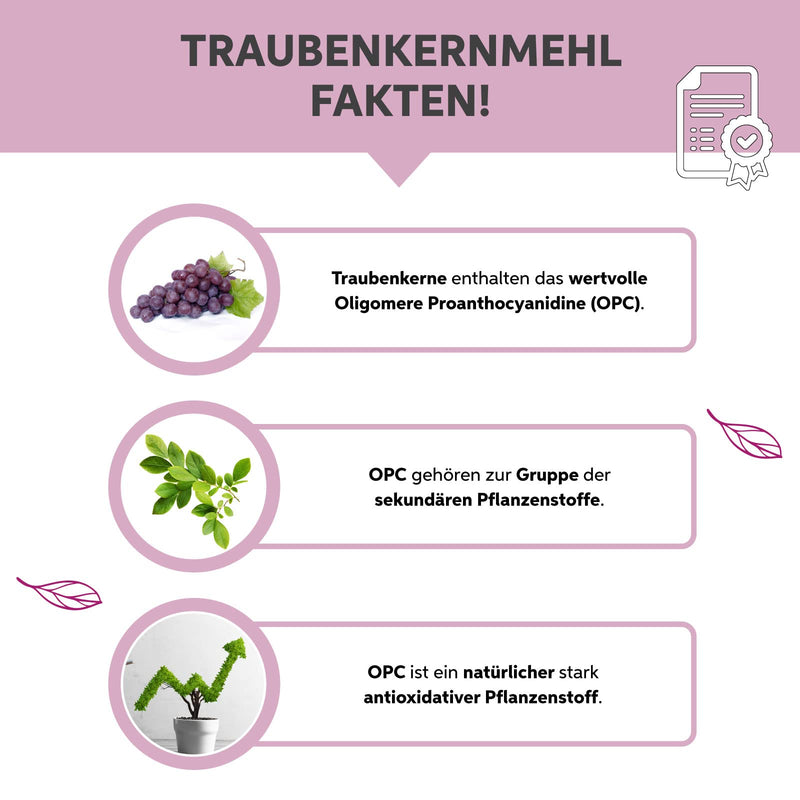 [Australia] - Organic Grape Seed Flour OPC 1kg Grape Seed Extract Powder Premium Raw Food Quality | Grape seeds from the EU | DE-ÖKO-007 1 kg (pack of 1) 