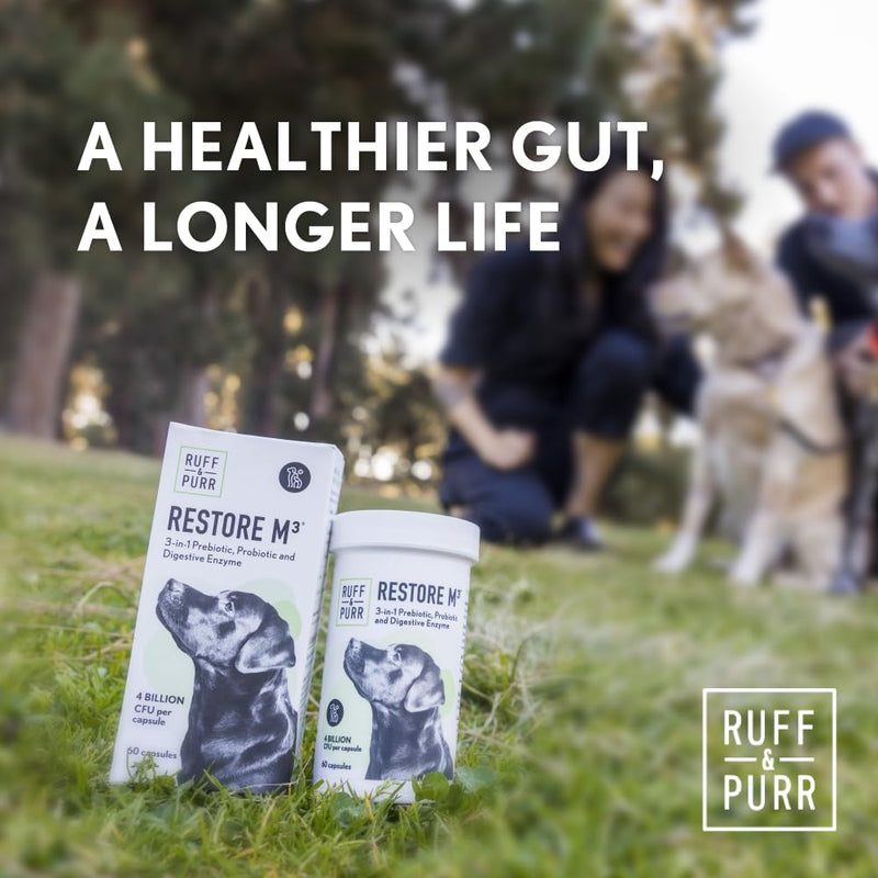 Ruff & Purr Probiotics for Dogs – Multi-Strain Probiotics and Prebiotics for Gut Health, Immune Support, Healthy Skin and Coat – Clinically Studied DE111 & PreforPro – 60 Easy to Give Capsules - PawsPlanet Australia
