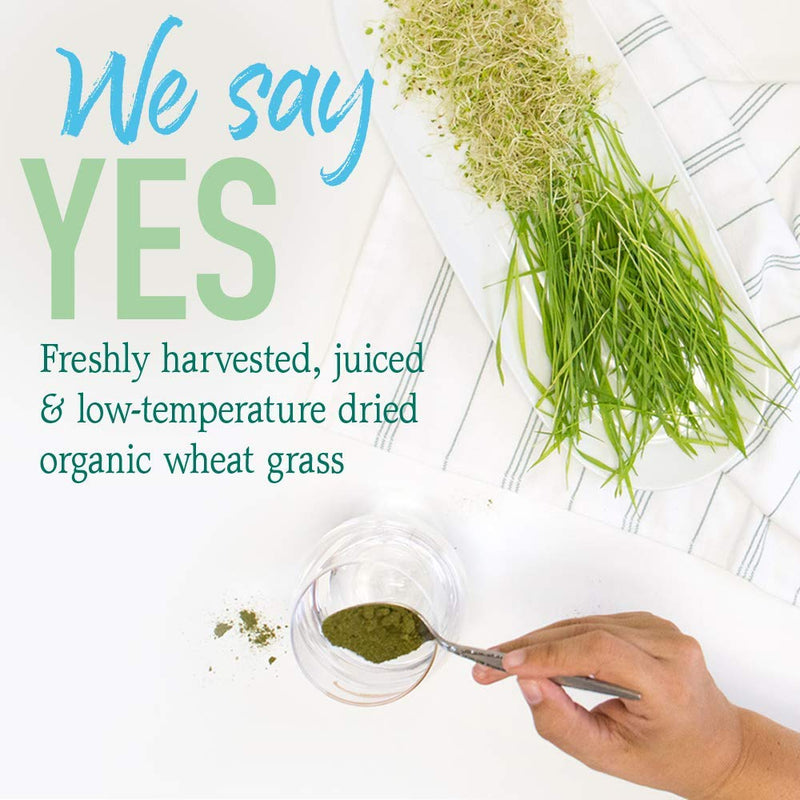 [Australia] - Garden of Life Raw 100% Organic Perfect Food USA Wheat Grass Juice - Green Superfood Powder, 60 Servings - Stevia & Gluten Free, Non-GMO, Vegan, Whole Food Dietary Supplement, 8.46 Oz Unflavored 8.46 Ounce (Pack of 1) 