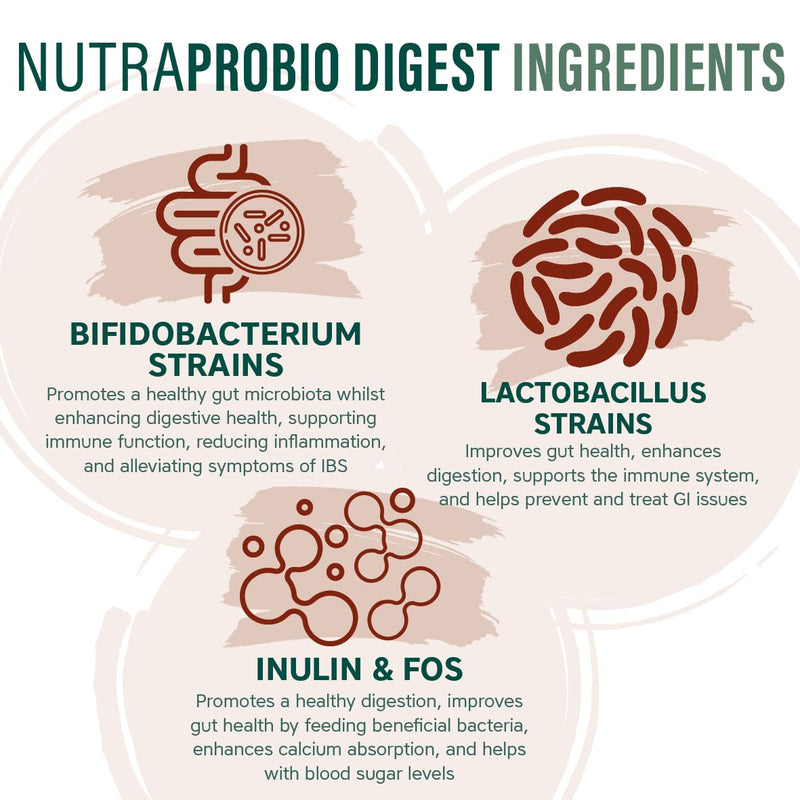NutraProbio Digest - 20 Billion Probiotic Cultures for Gut & Digestive Health - with Added Prebiotics, Inulin & FOS - Improves Digestion & Immune System - NutraVit, 30 Capsules