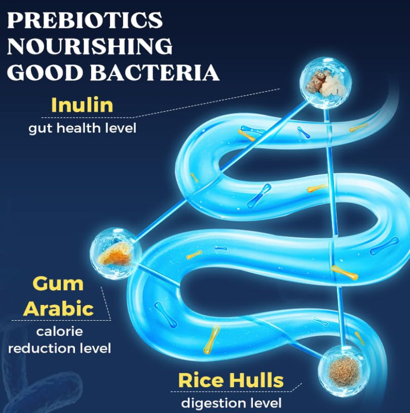 300 Billion CFU Probiotics & Prebiotics for Gut Health - 12 Live Cultures - Lactobacillus Acidophilus & Bifidobacterium - Advanced Prebiotic & Probiotic Supplement for Women & Men - 60 Capsules 60 count (Pack of 1)