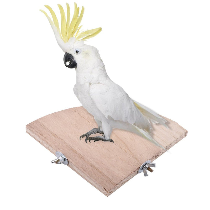 Fdit Bird Wooden Stand Fan Shaped Design for Parrot Cockatiel Parakeet - PawsPlanet Australia