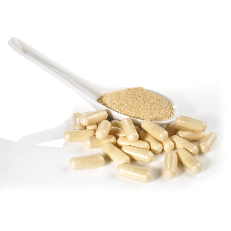 [Australia] - Dairyland American Ginseng Capsules - 75 ct, 500 mg - Wisconsin Ginseng Capsule - Authentic American Ginseng Root Extract - Ginseng Capsules for Use as a Daily Immune Support Herb Supplement 