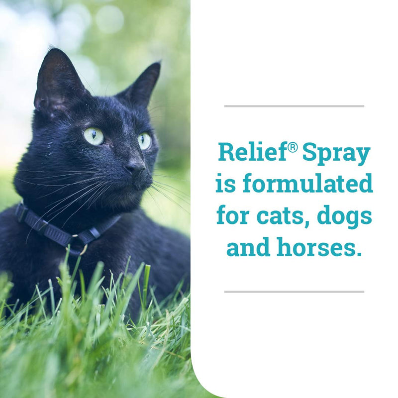 Relief Spray, Temporary Relief of itching and flaking, for Dogs, Cats and Horses, 8 oz (Pack of 2) Pack of 2 - PawsPlanet Australia