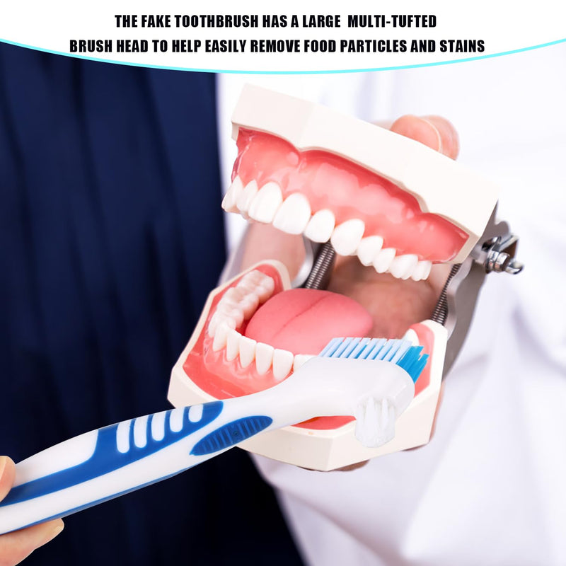 [Australia] - Dentures Case 2 pieces denture case 2 dentures cleaning brushes dentures bath box dentures box dentures toothbrush dentures cup box for false teeth and braces 