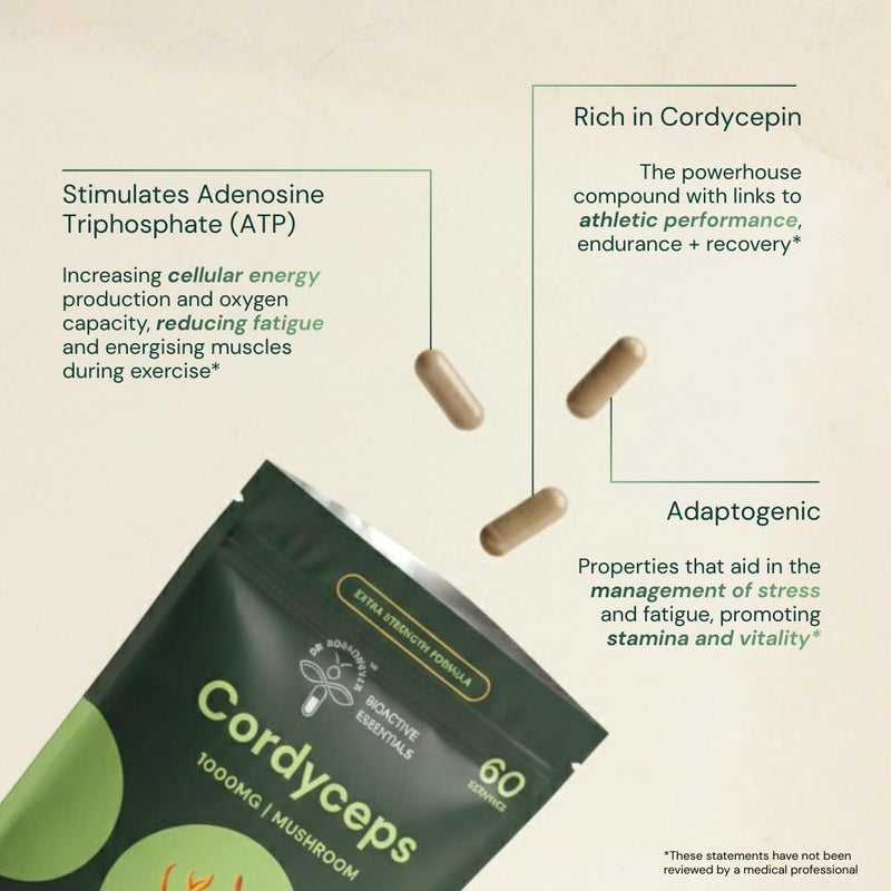 Dr Sosnowski's BioActive Cordyceps Mushroom Capsules | 1000mg High Strength Cordyceps Extract for Daily Support (120 Capsules)