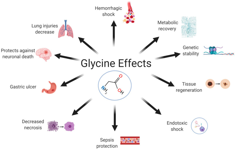 Aminolab - GLYCINE 1250mg 120 Capsules - Promotes Restful Sleep, Supports Brain and Heart Health, and Aids Tissue Repair.