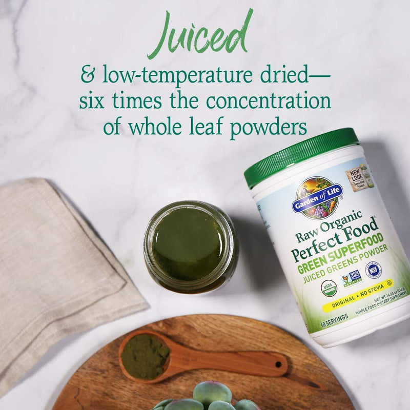 Garden of Life RAW Organic Perfect Food Juiced Greens Powder, 60 Servings Original 1.06 Pound (Pack of 1)