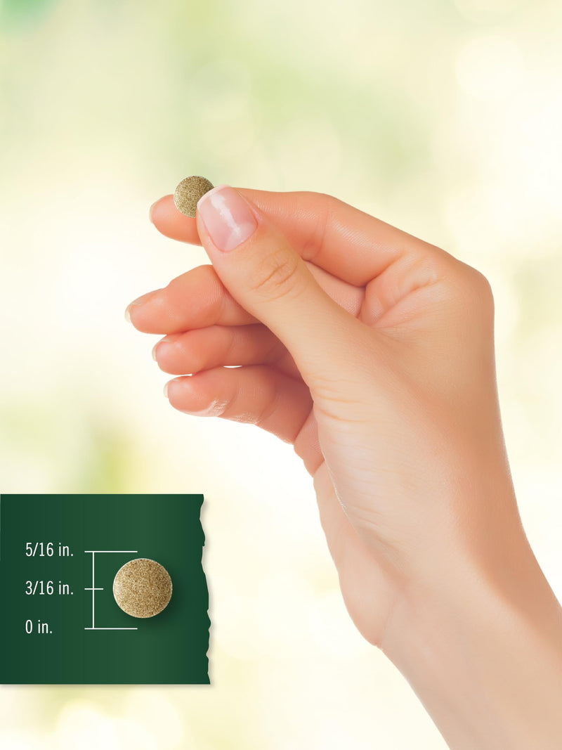 [Australia] - Carlyle Ginkgo Biloba | 3000mg Per Serving | 200 Tablets Extra Strength | Vegetarian | Non-GMO & Gluten Free Supplement | Tahoe Nutritionals 200 Count (Pack of 1) 