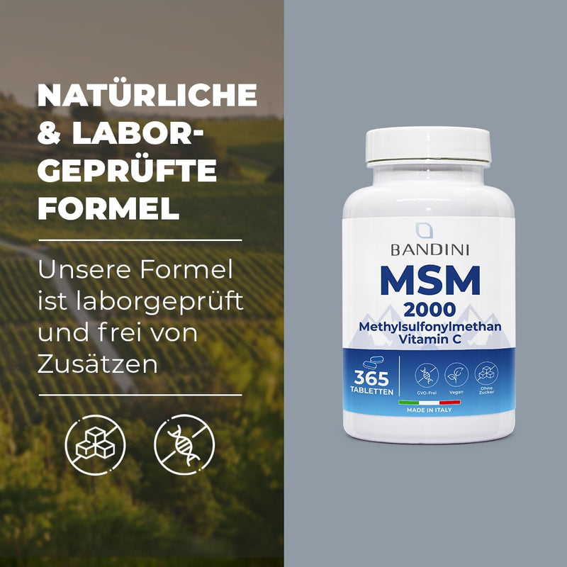 [Australia] - Bandini® MSM 2000 mg + natural vitamin C | 365 tablets instead of capsules (6 months) with methylsulfonylmethane | For hair, skin, joints and nails | Highly dosed, vegan, laboratory tested, without additives 365 pieces (pack of 1) 
