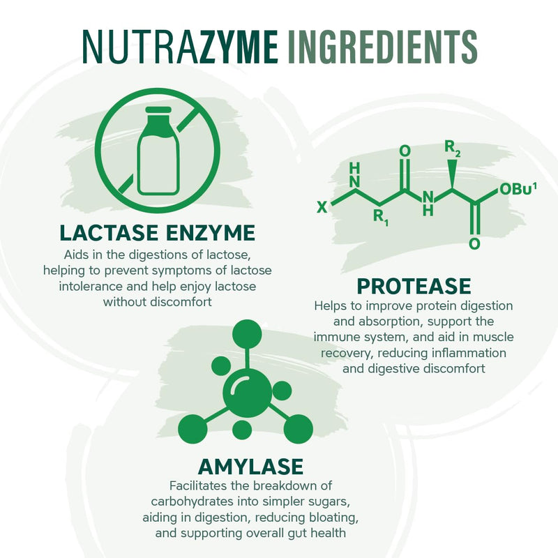 NutraZyme - Digestive Enzyme Complex - 13 Broad Spectrum Enzymes Including Amylase, Protease, Lipase & Bromelain, with Lactase for Lactose Intolerance - NutraVit, 30 Capsules