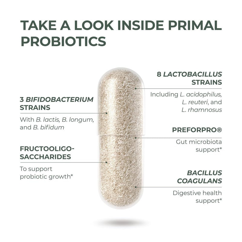 [Australia] - Primal Harvest PREbiotics and PRObiotics for Women & Men, 30 Oral Capsules for Gut Health, 12 Dynamic Strains 30 servings (1 Pack) 