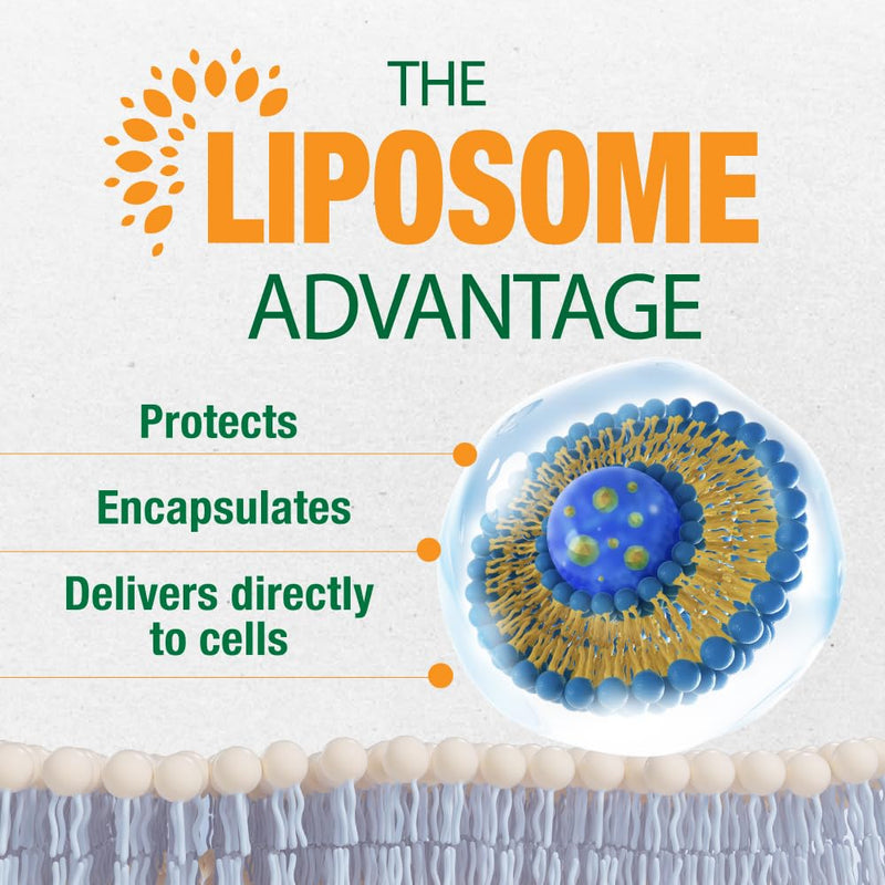 LABO Nutrition Vegan Liposomal Vitamin D3 for Bone Support 240 softgels | 240 softgels of 1000IU vegan liposomal D3, sustained release, non-GMO, 240 days supply
