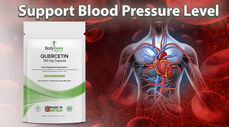 Bodygenix Quercetin 750mg Capsules - Immune System Brain Cardiovascular Health Joints Support Energy Boost Natural Vegan Supplement - 180 Capsules 6 Month Supply