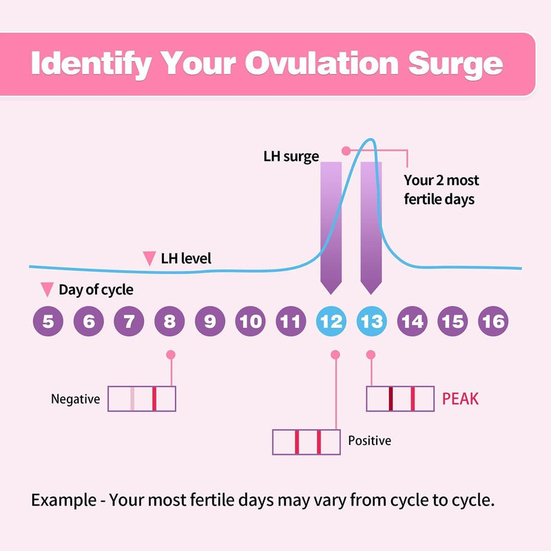 Ovulation Test Strips 50 Count & Pregnancy Tests 10 Count, HEAL-CHECK Fertility Combo Kit for Women TTC, Over 99% Accuracy, Easy to Use at Home, Individually Wrapped, FSA HSA | 50LH+10HCG+60 Urine Cup