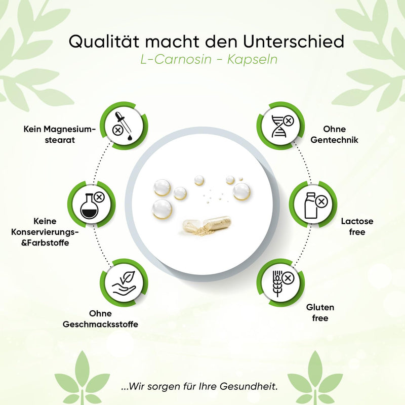 [Australia] - BIOTARY L-Carnosine 100 capsules, 1000 mg daily portion, including pill box, 100% vegan, high dosage and no additives, high bioavailability, laboratory tested, Made in Germany 100 pieces (pack of 1) 