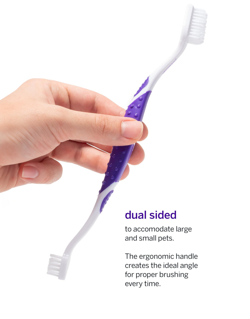 [Australia] - Petsmile Professional Pet Teeth Brushing Kit for Cats & Dogs - Only VOHC Accepted Toothpaste & Patented Toothbrush - Proven to Control Plaque & Tartar Calprox Formula (Say Cheese, 4.2 Oz) Say Cheese 4.2 Ounce (Pack of 1) 