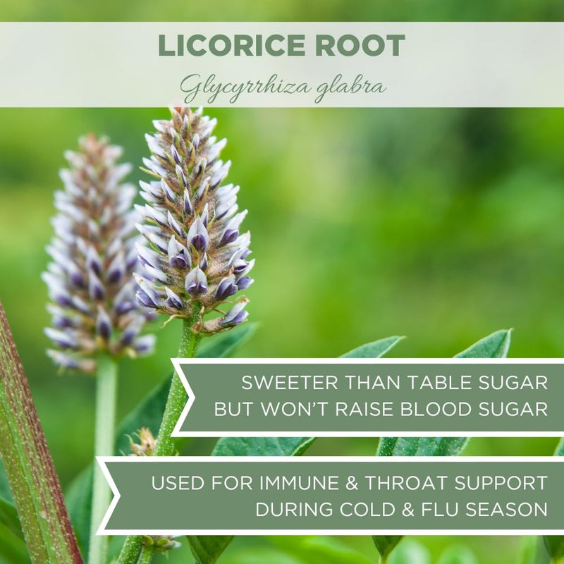 [Australia] - Organic Licorice Root 4 oz. (113g), USDA Certified Organic Licorice Root Tea, Licourice Root, Bulk Licorice Root Chopped, Liquorice, Raiz de Regaliz Licrice Root, Glycyrrhiza glabra, Cut & Sifted 4 Ounce 