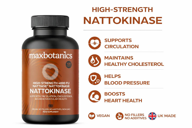 Nattokinase Supplement 4000 FU Supports Circulation Cholesterol & Cardiovascular Health High Strength Natural Japanese Natto Enzyme GMP Certified Zero Additives Vegan 120 Capsules UK Made 120 count (Pack of 1)