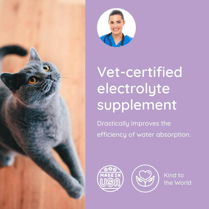Cat Hydration Electrolyte and Cat Joint Supplement | Glucosamine, Chondroitin & MSM for Immunity and Mobility with L-Glutamine, Taurine, Lysine & Prebiotics | for Salmon Lovers | 16 Packets 1-Pack (16 Packets) - PawsPlanet Australia