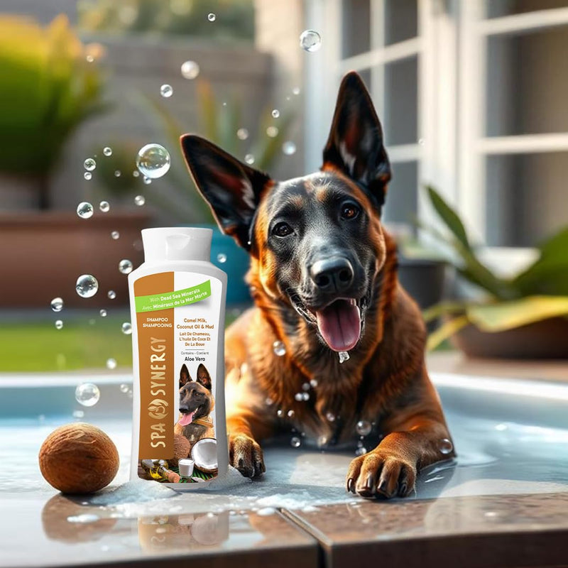 Pet Dog Shampoo Mud and Natural Dead Sea Mineral Rich, Aloe Vera & Vitamin-E, Soothing, Soften, Anti Dandruff, Cleansing- Camel Milk & Coconut Oil - (1) Bottle 16.5 FL OZ - PawsPlanet Australia